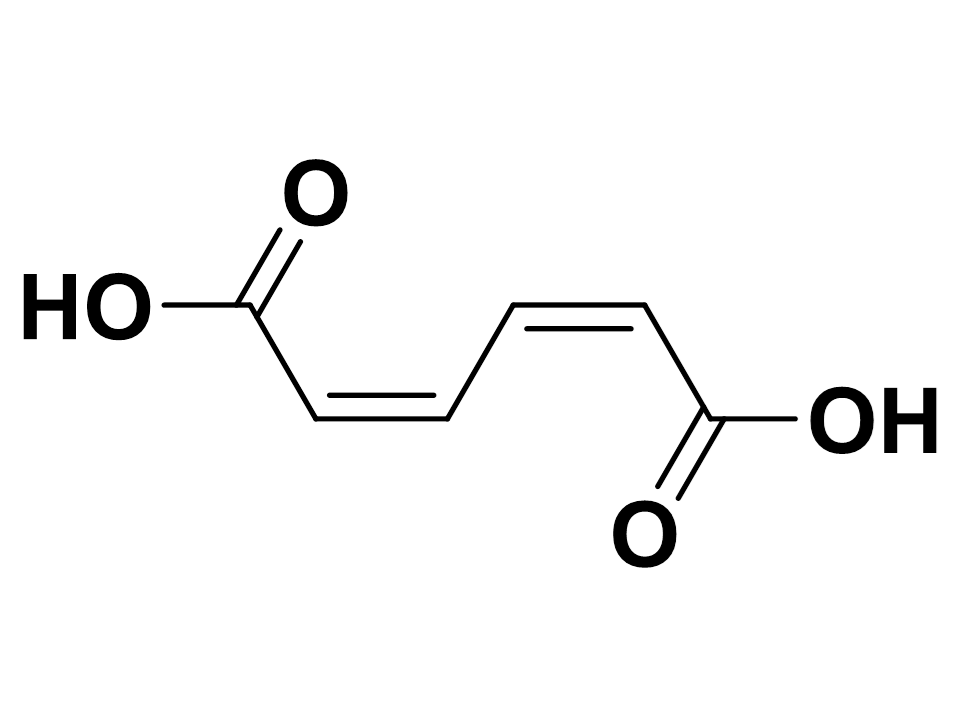 cis,cis-ムコン酸